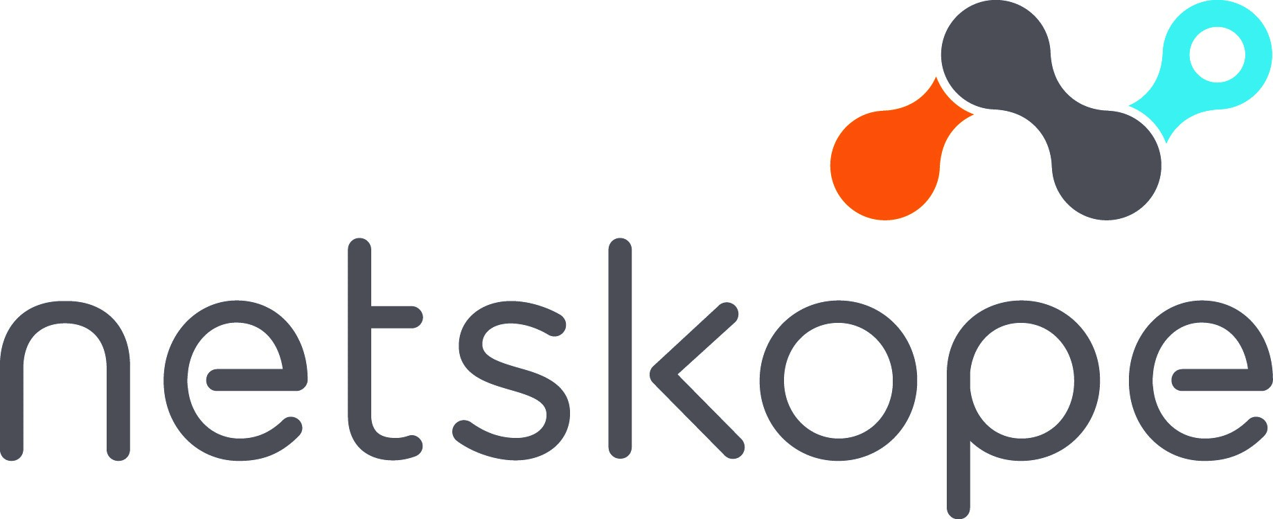 netskope logo