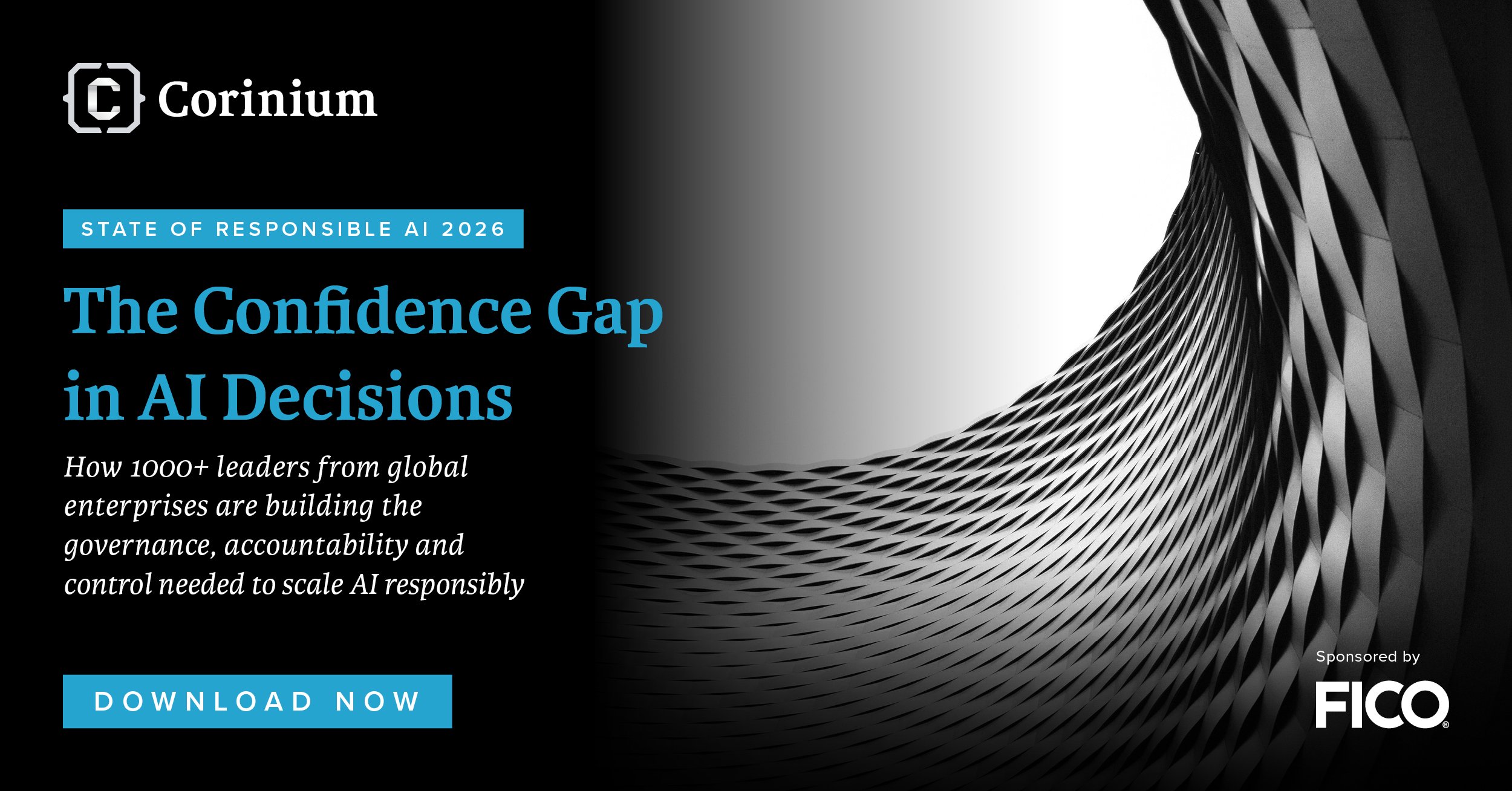 The Confidence Gap in AI Decisions