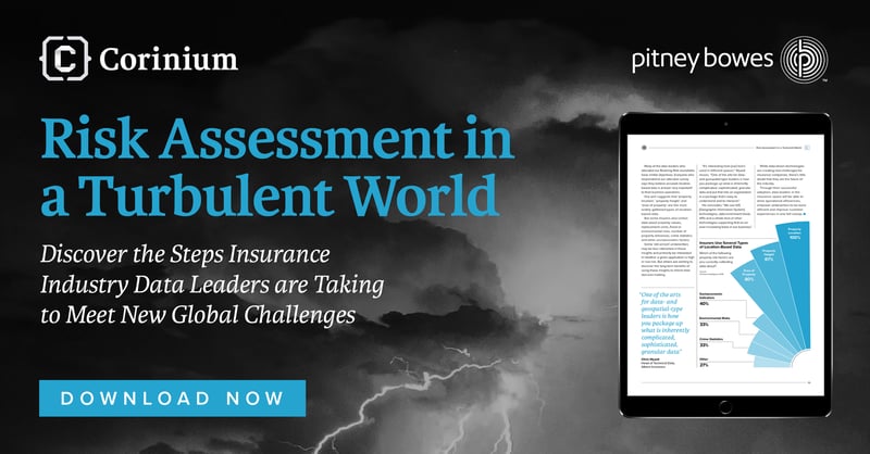 Risk Assessment in a Turbulent World