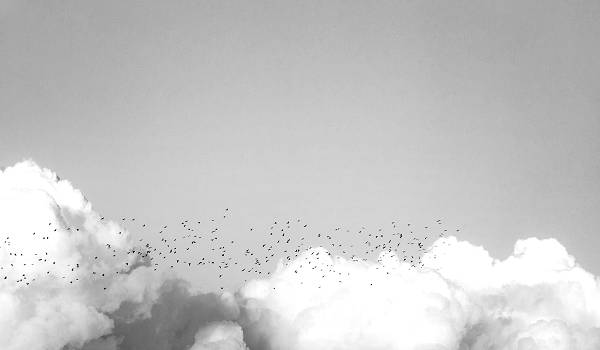 CUserssolomDocumentsCorinium IntelligenceCorinium ContentScaling AI in the Cloudclouds 600x350