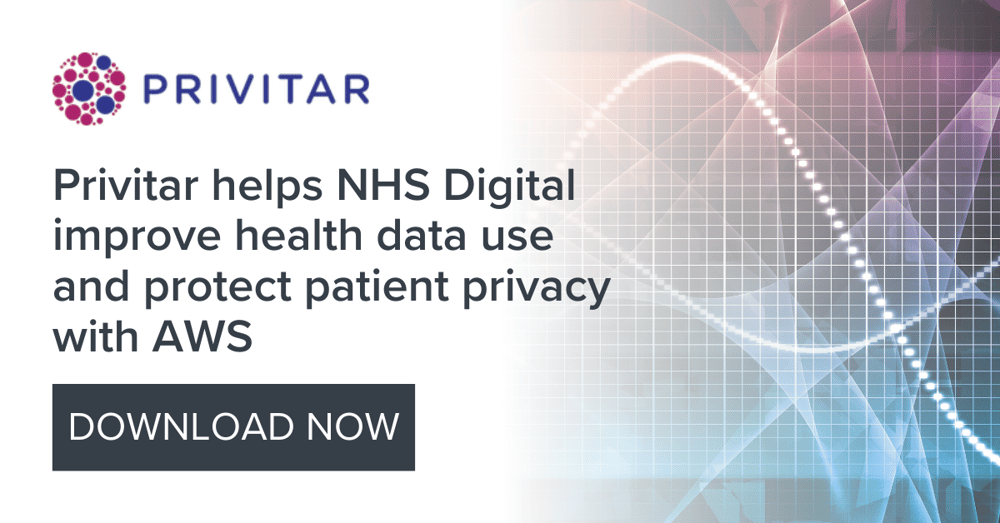 Privitar Case Study