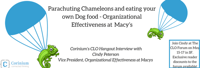 Parachuting Chameleons and eating your own Dog food – Organizational Effectiveness at Macy’s